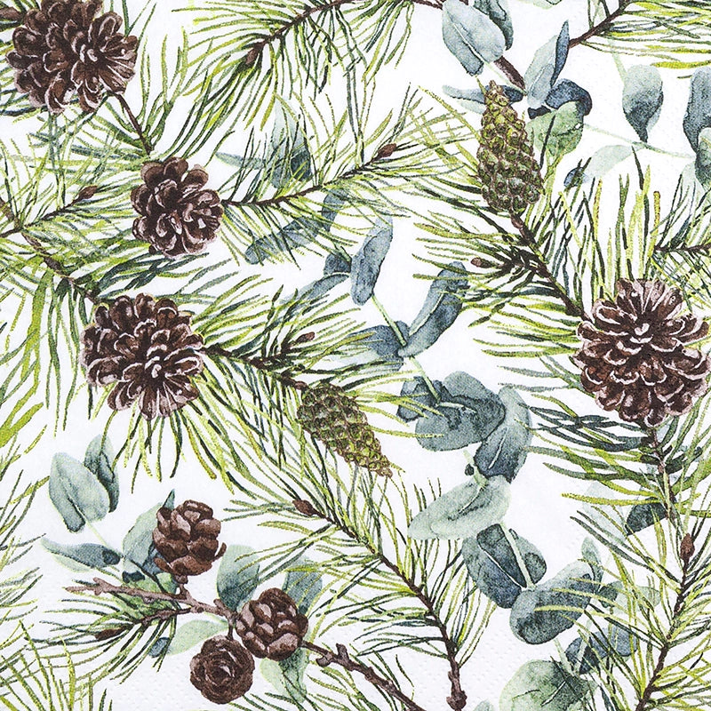 Serviettes en papier - Eucalyptus